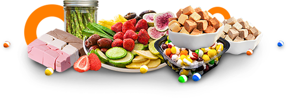 Freeze Dryer Application