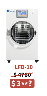 LFD-10 small freeze dryer